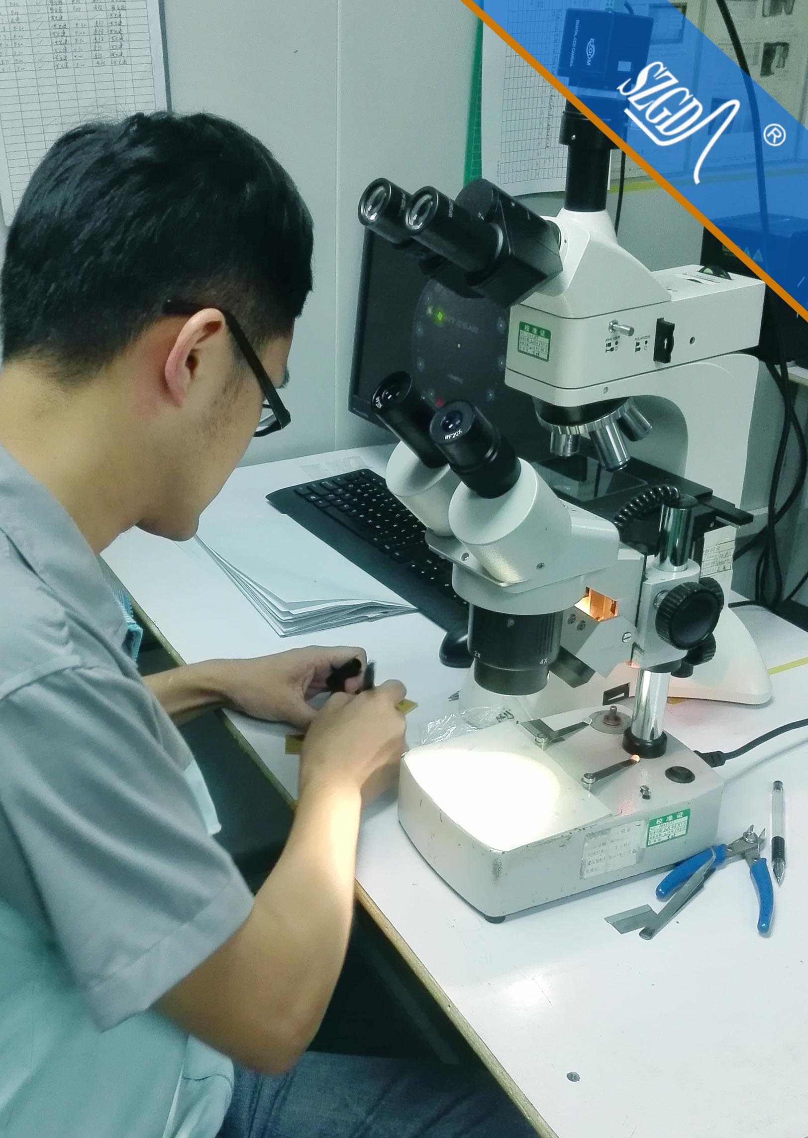 香港全年免费资料大全