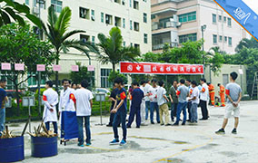 香港全年免费资料大全