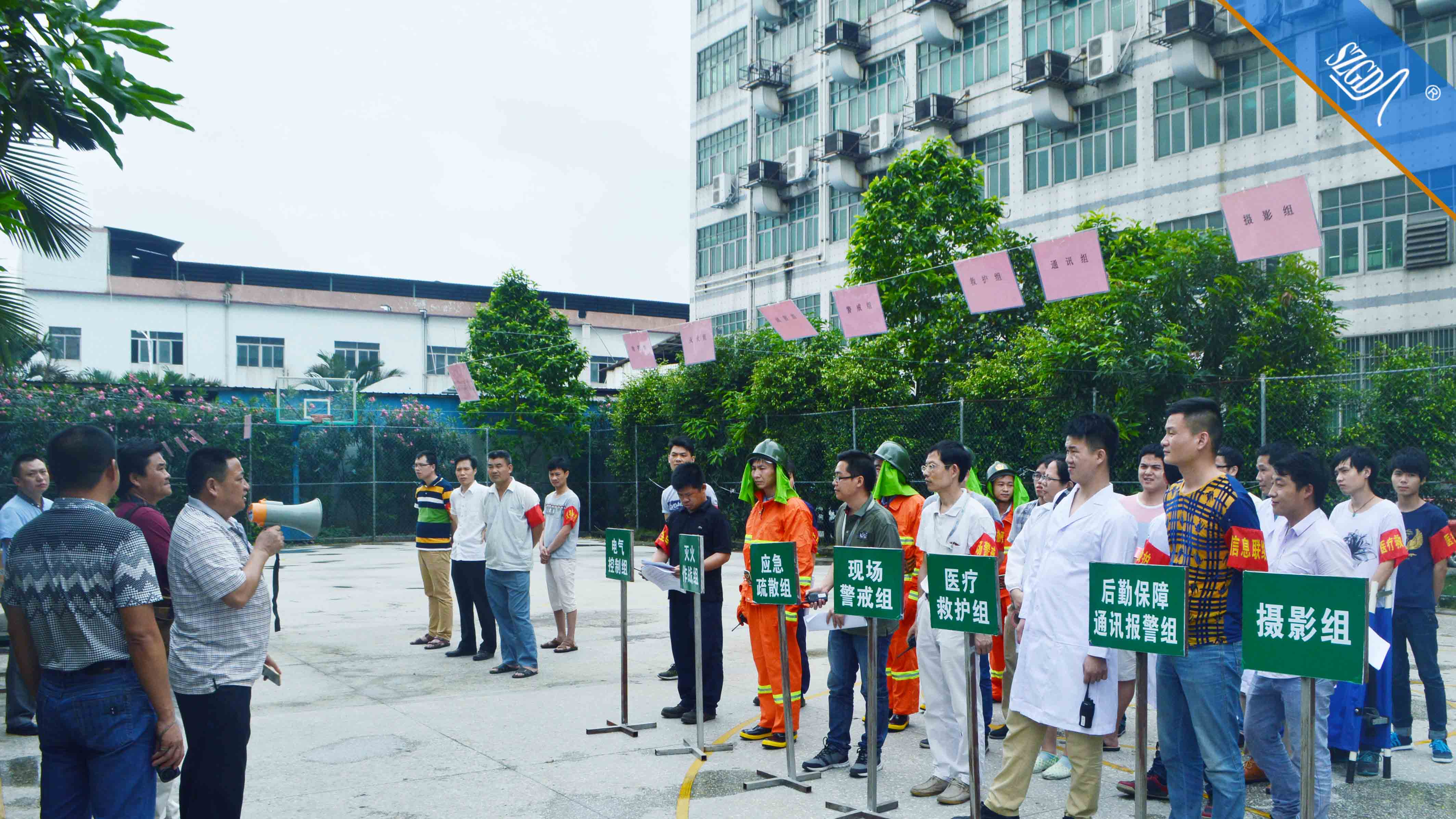 香港全年免费资料大全