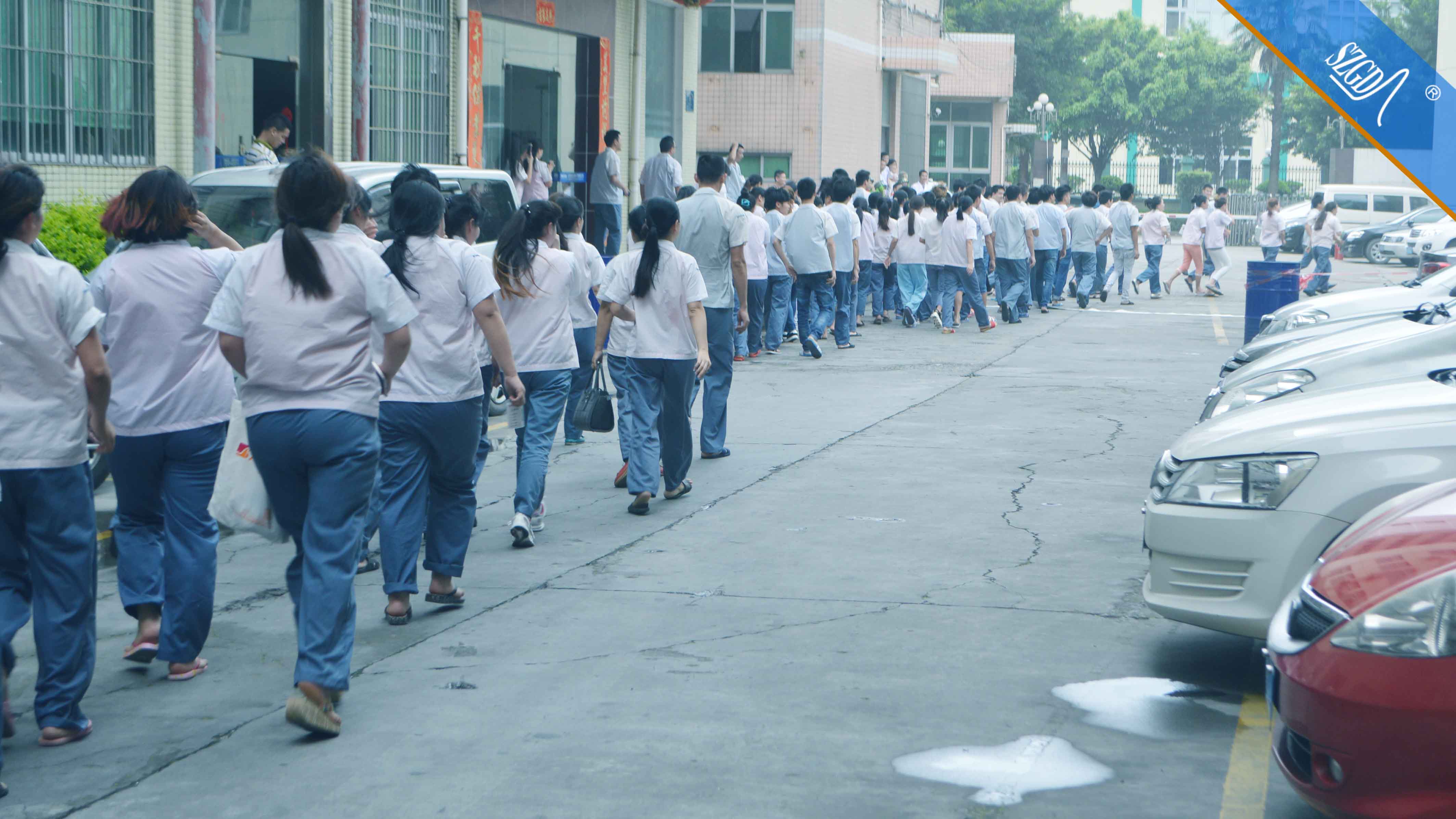 香港全年免费资料大全