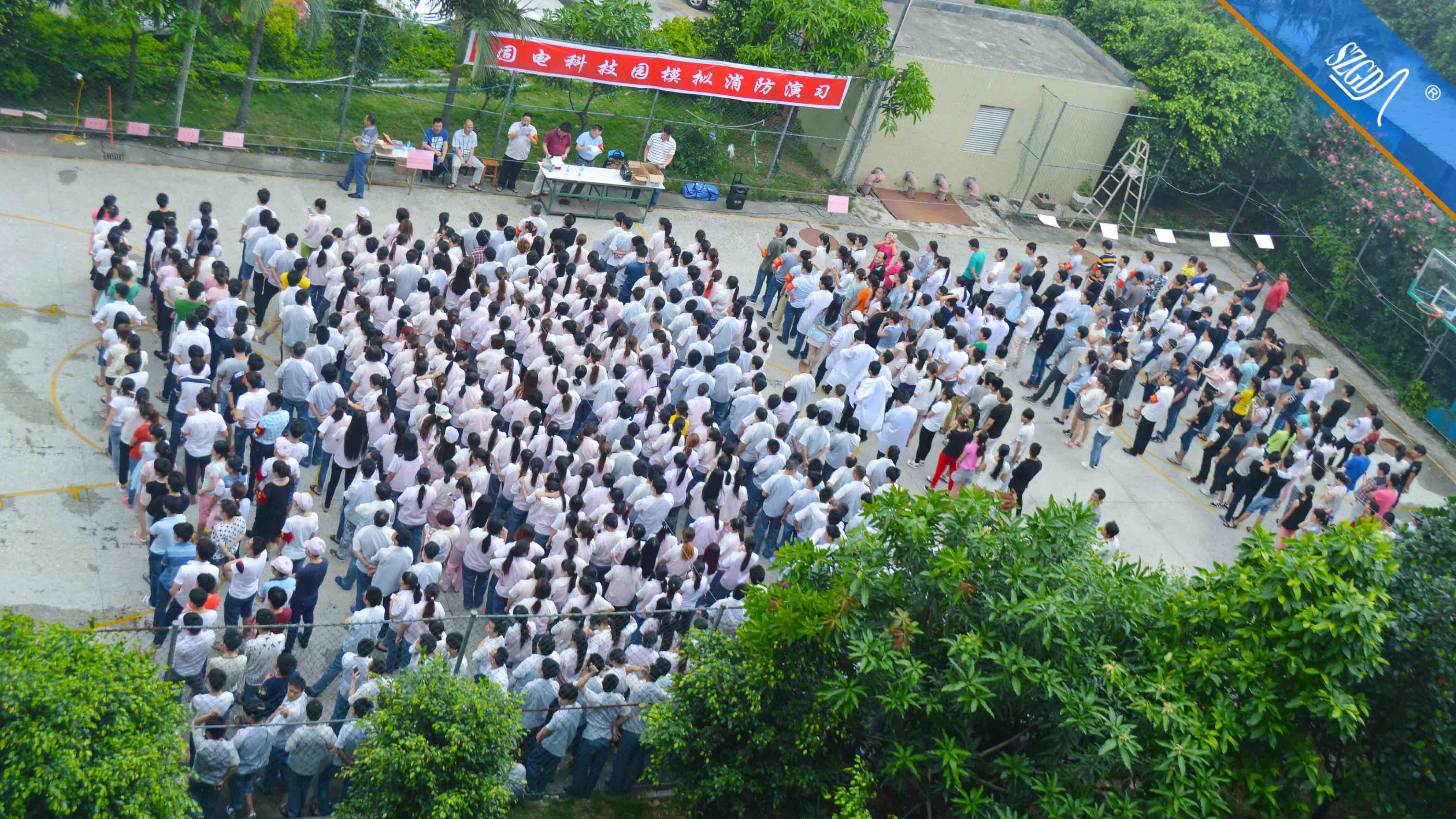 香港全年免费资料大全