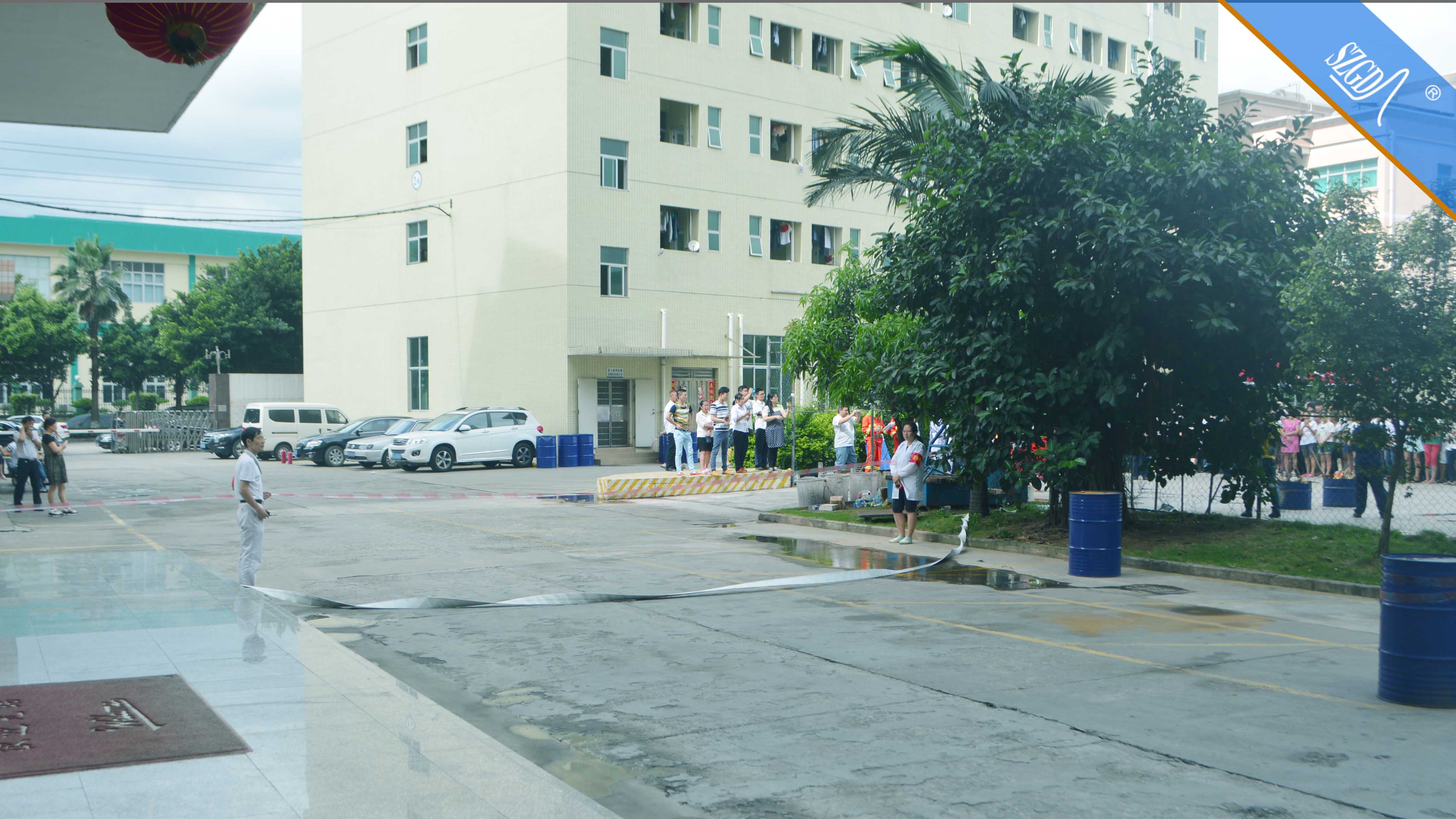 香港全年免费资料大全