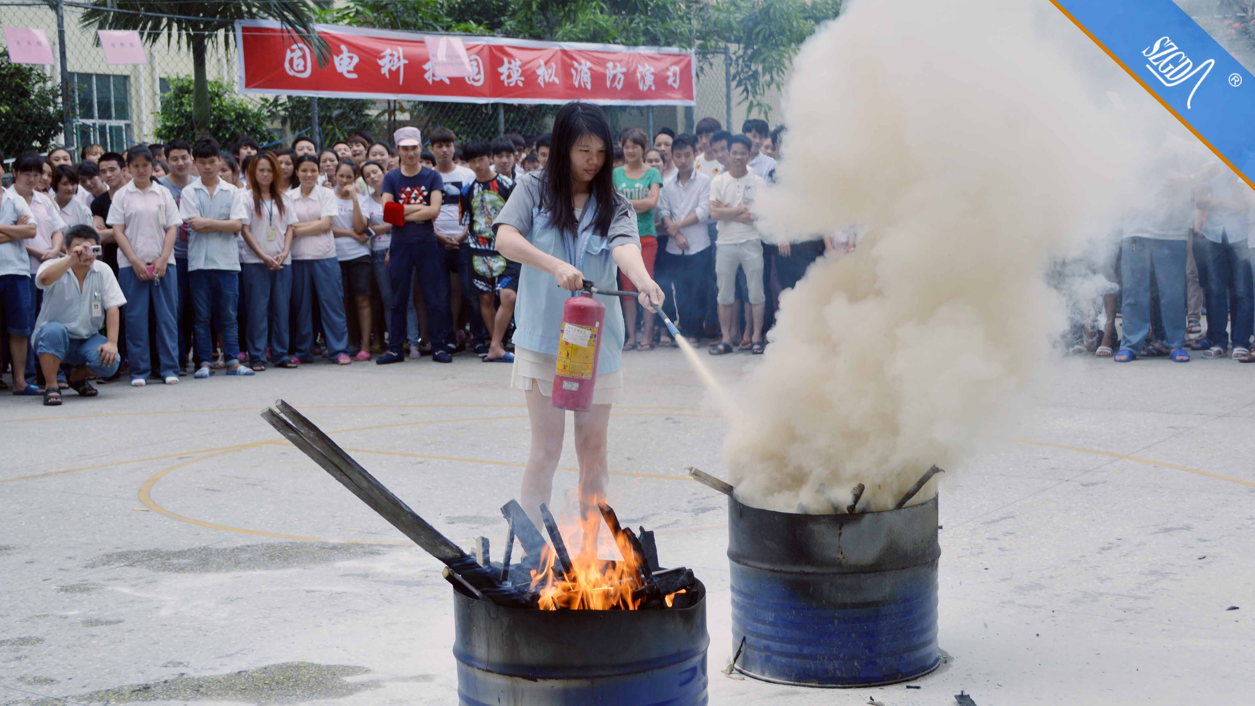 香港全年免费资料大全