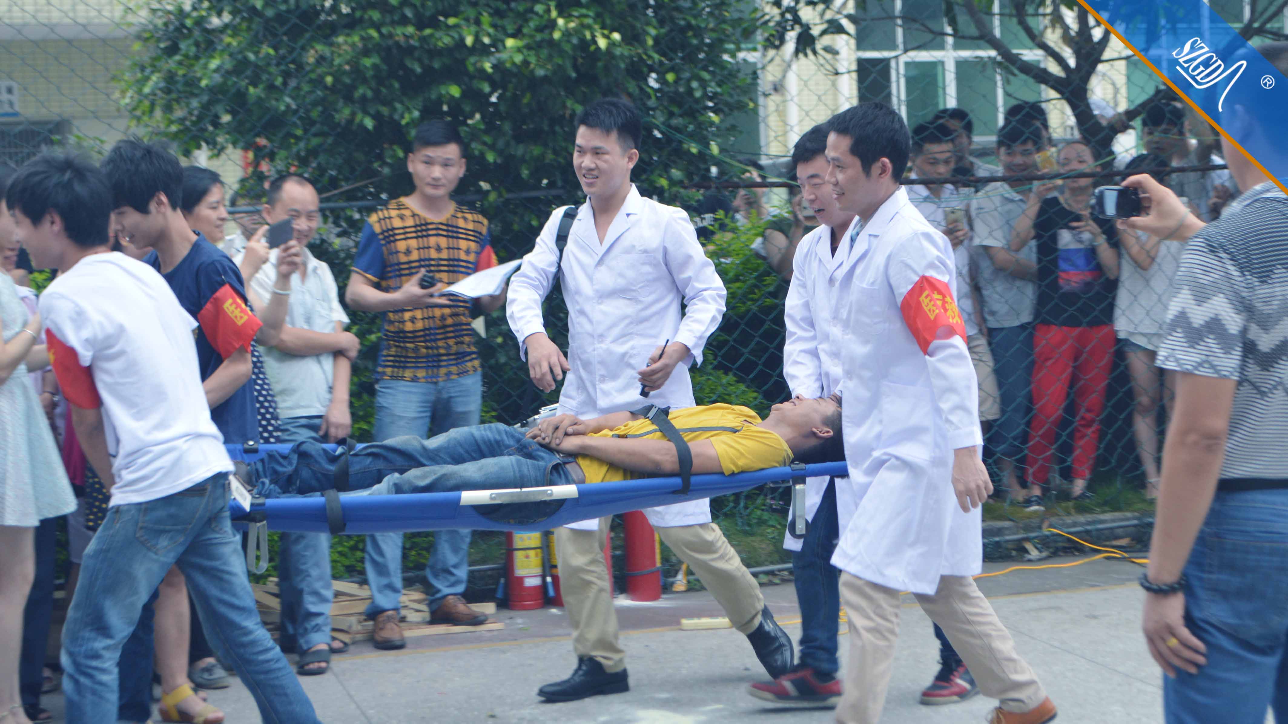 香港全年免费资料大全