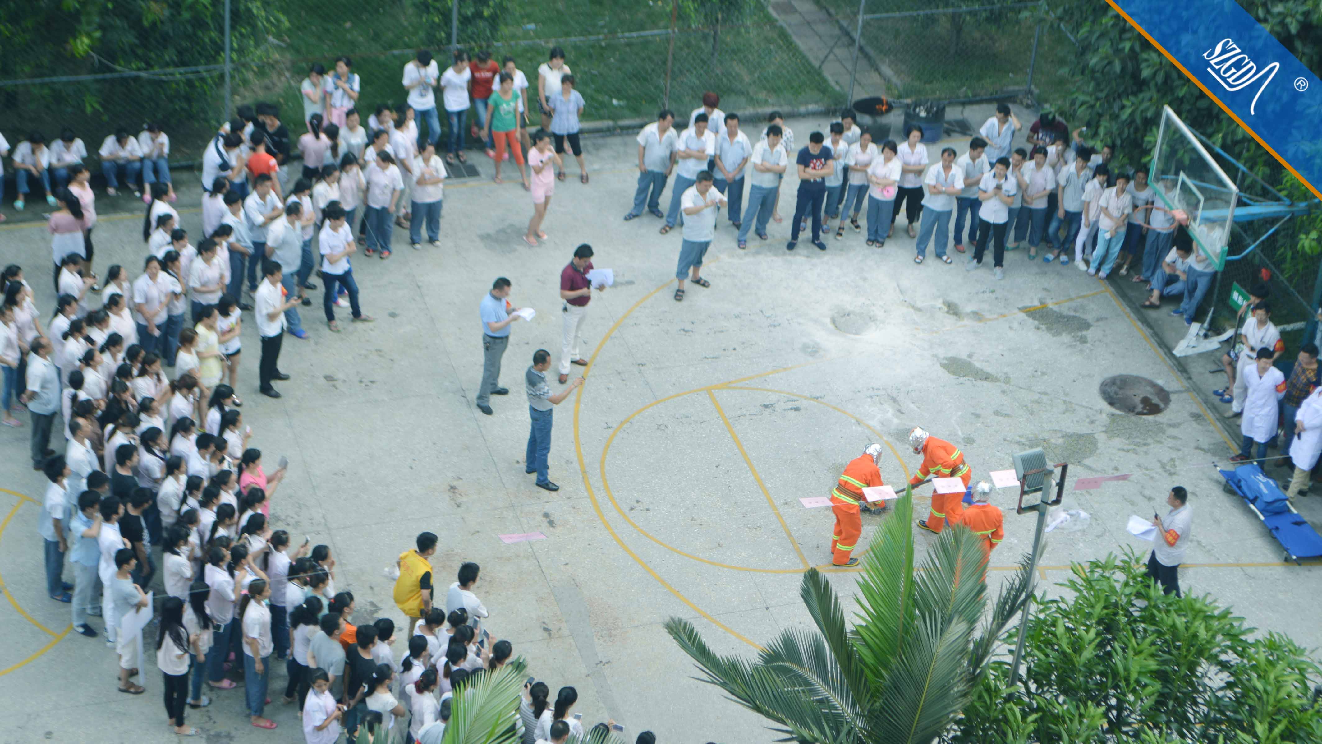 香港全年免费资料大全