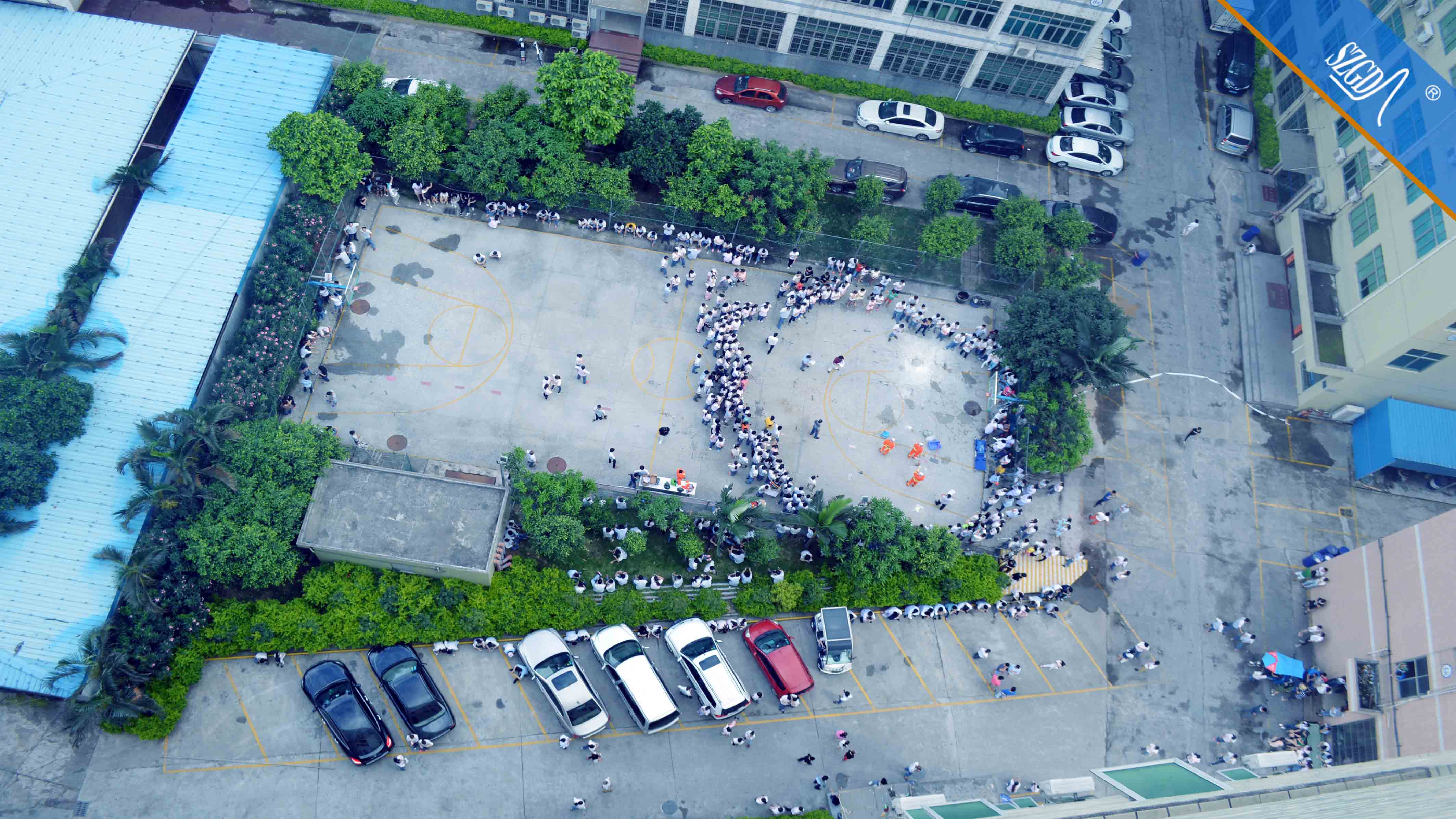 香港全年免费资料大全